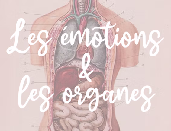 Comment les organes du corps sont-ils liés aux émotions ?